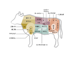 【牛肉の部位】